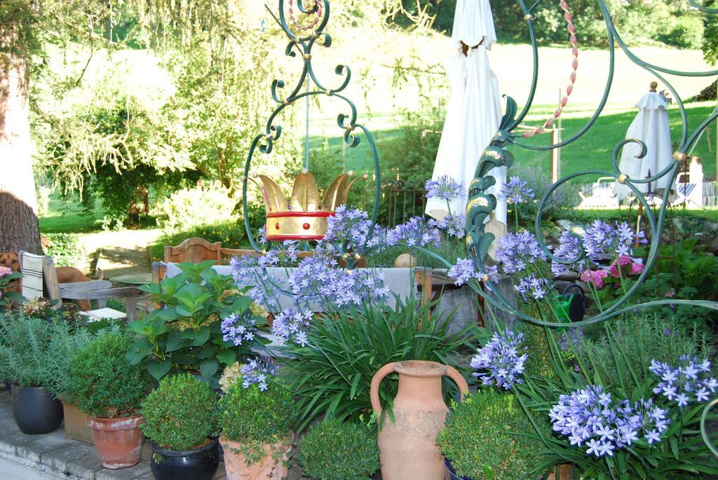 Oberriet B&B Haus Zur Krone מראה חיצוני תמונה